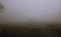 Nebel, Moor